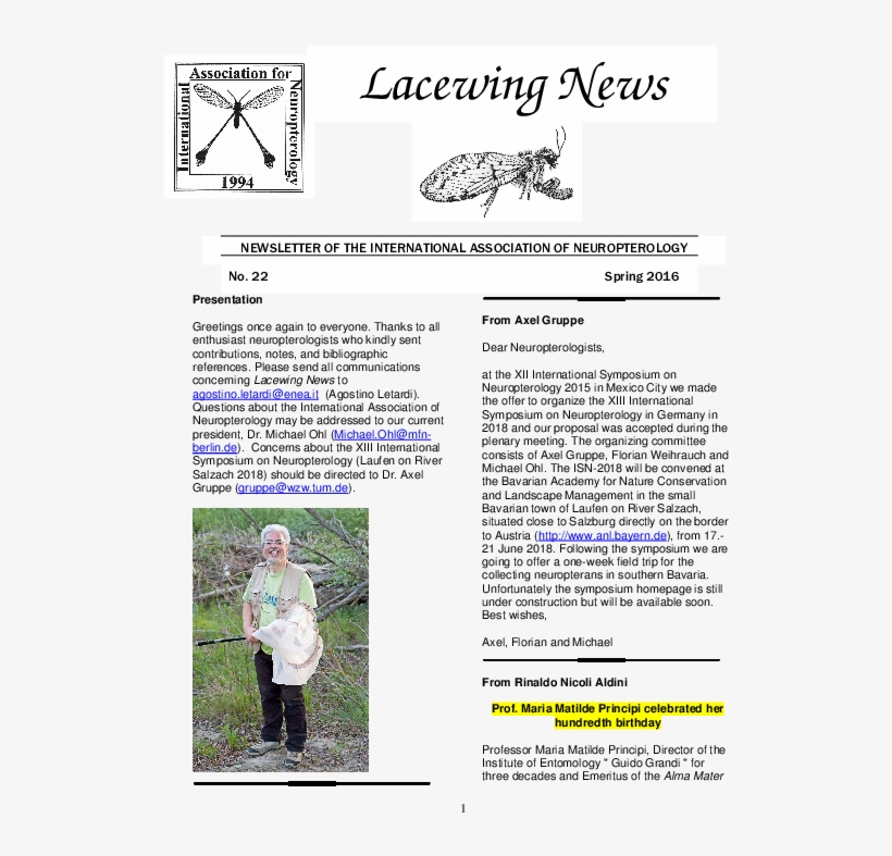 Pdf - Child, transparent png download