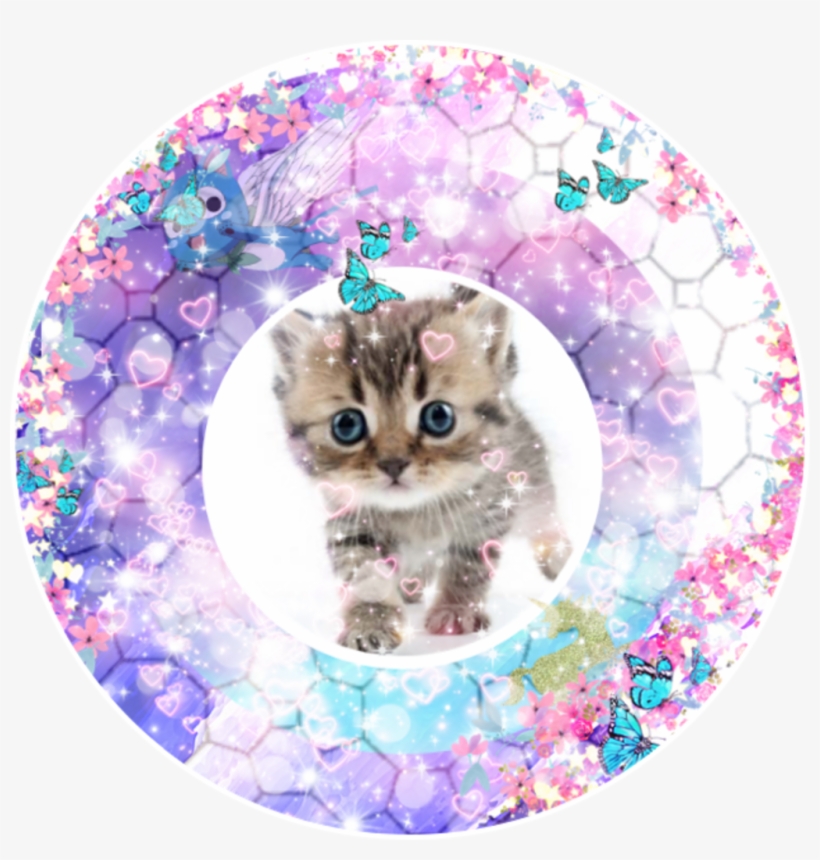 #kitty #fairytail #wendy #happy #caticorn, transparent png download