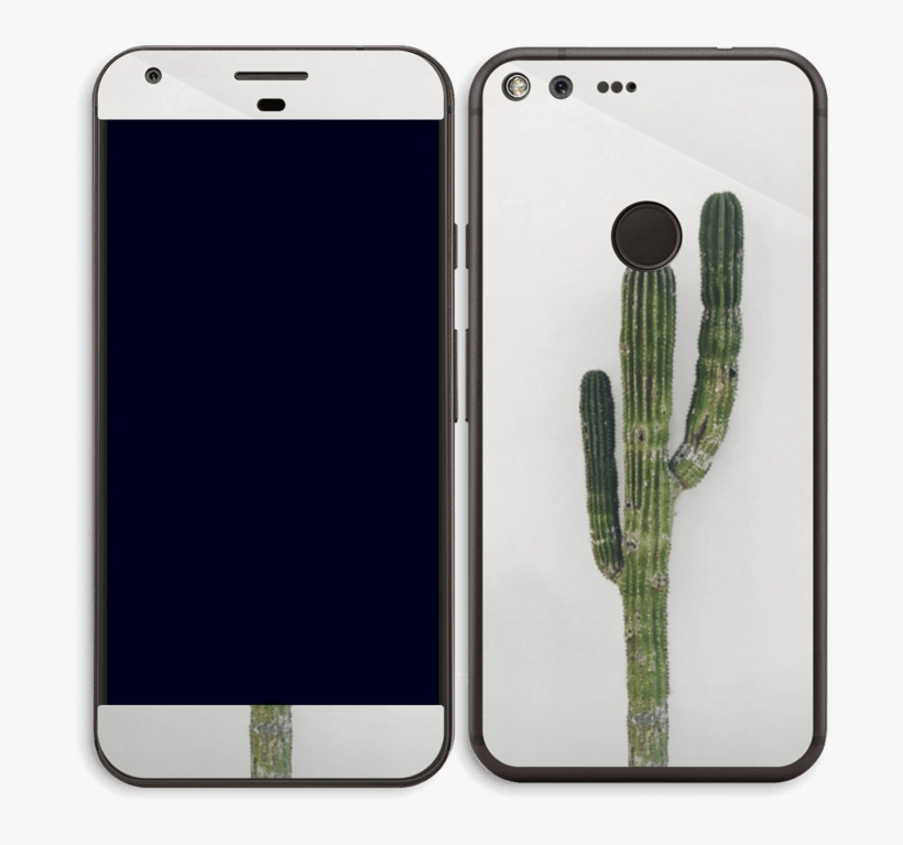 Mexican Cactus Skin Pixel Xl - Hedgehog Cactus, transparent png download