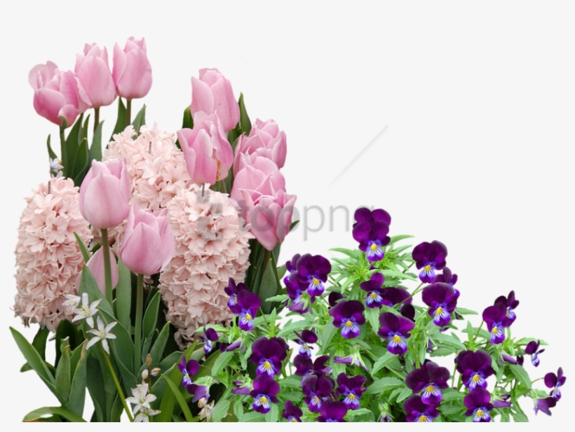 Free Png Easter Flowers Png Image With Transparent - Easter Flowers On Transparent Background, transparent png download