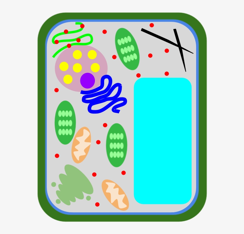 Location, transparent png download