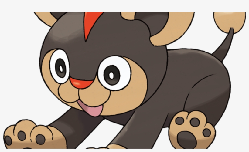 Pokemon Y Cat Pokemon, transparent png download
