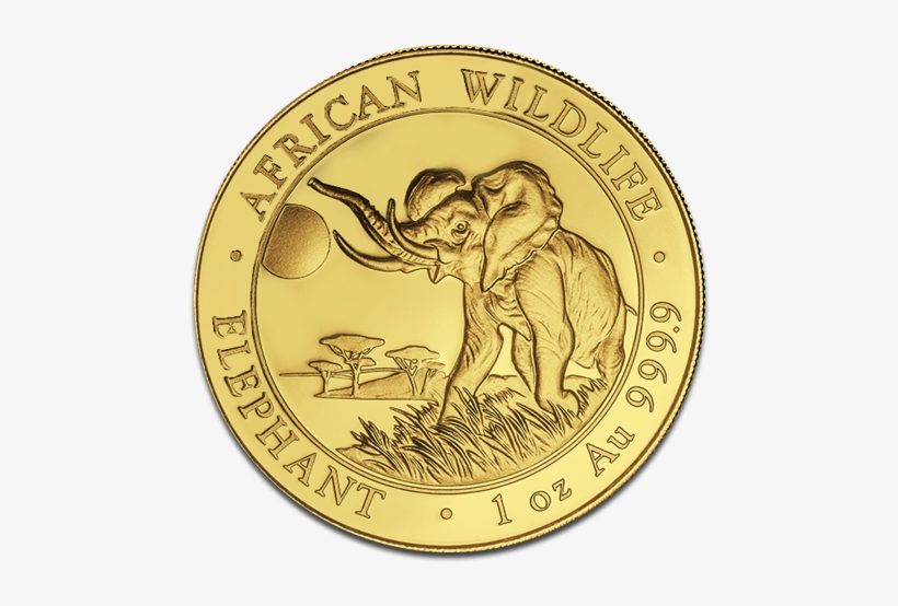 Gold Coins Png Image Background - Coin, transparent png download