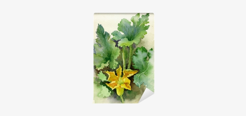 Watercolor Flora Collection - Squash Blossom, transparent png download