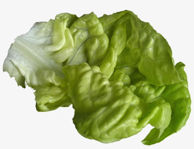 Lettuce Png Image - Lettuce, transparent png download