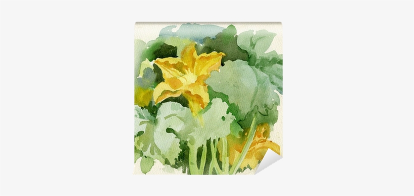 Watercolor Flora Collection - Watercolor Painting, transparent png download