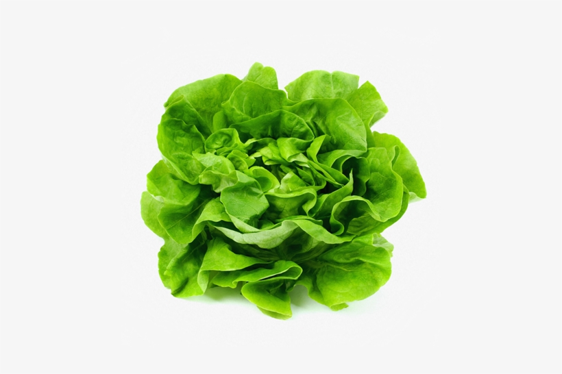 California Drought May Raise Lettuce Prices - Karpas Passover, transparent png download
