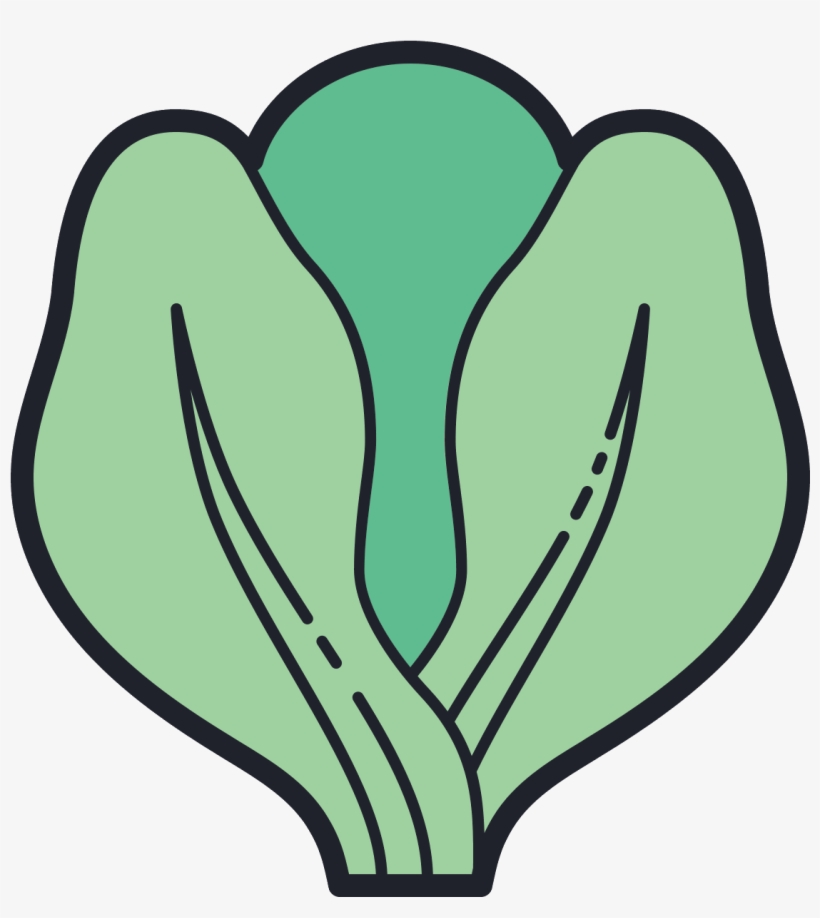 The Image Is An Outline Of A Single Head Of Lettuce - Lettuce, transparent png download