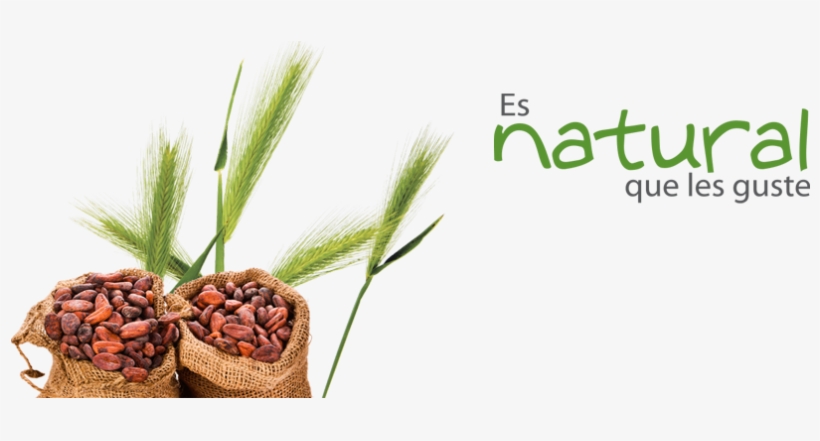 Distribuimos Café Orgánico, Jugos Naturales, Mermeladas, - Part De La Terre (la) - Trade Paperback, transparent png download