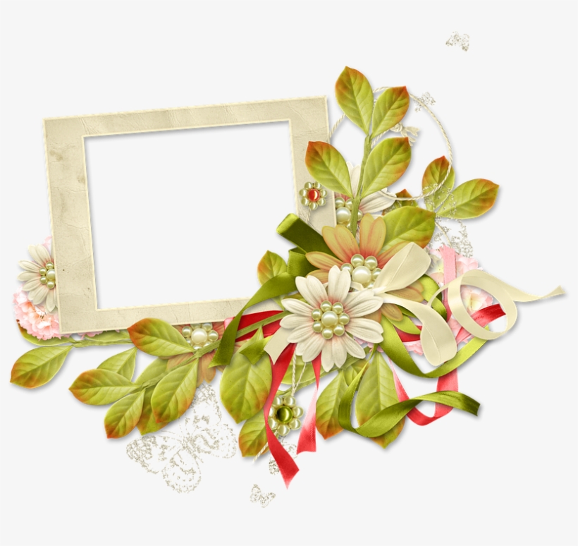 Frame, Photo Frame, Spring, Summer - Illustration, transparent png download