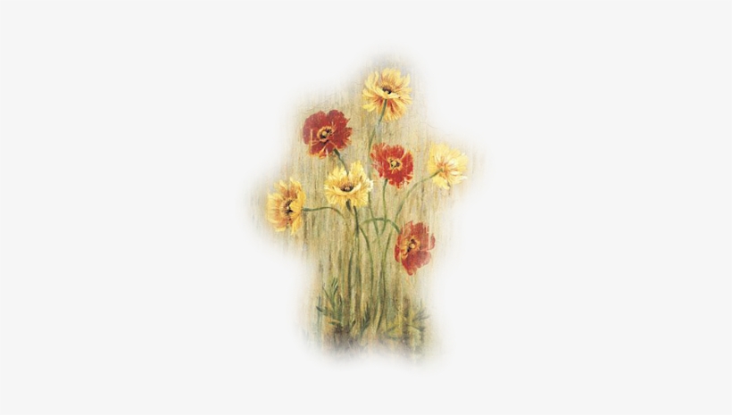 Fl-76 - Poppy Serenade Poster Print By Liz Jardine, transparent png download
