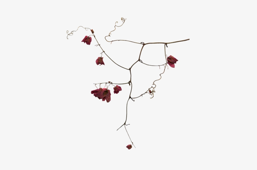 Gothic Clipart Transparent - Пнг Готика, transparent png download