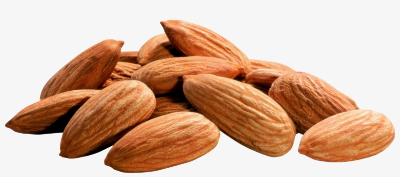 Almonds Png, transparent png download