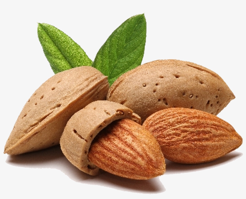 Almond Png File - Prunus Amygdalus Dulcis Oil, transparent png download