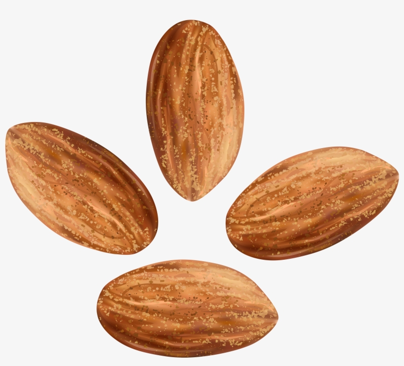 Nuts Png, transparent png download
