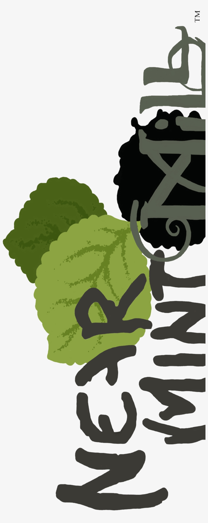 About Near Mint Mill Picture Black And White - Illustration, transparent png download