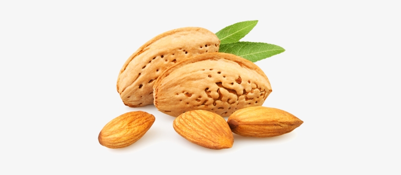 Treehouse Stack - Almond Slice Png, transparent png download