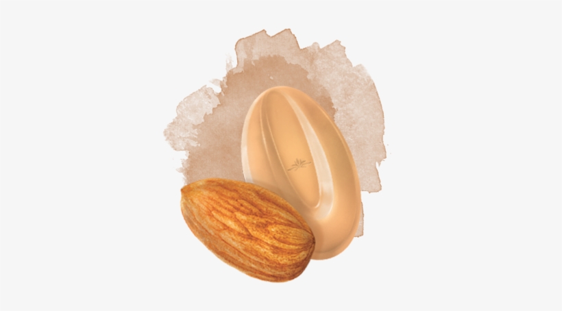 Chocolate Almond Inspiration Valrhona, transparent png download