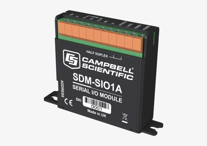 Raccoon City Art That Goes, transparent png download