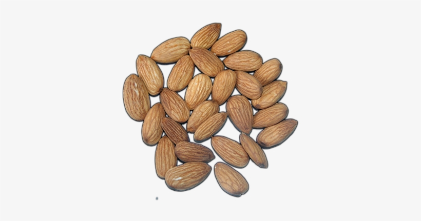 Click Here To See Almonds Album - Almond, transparent png download