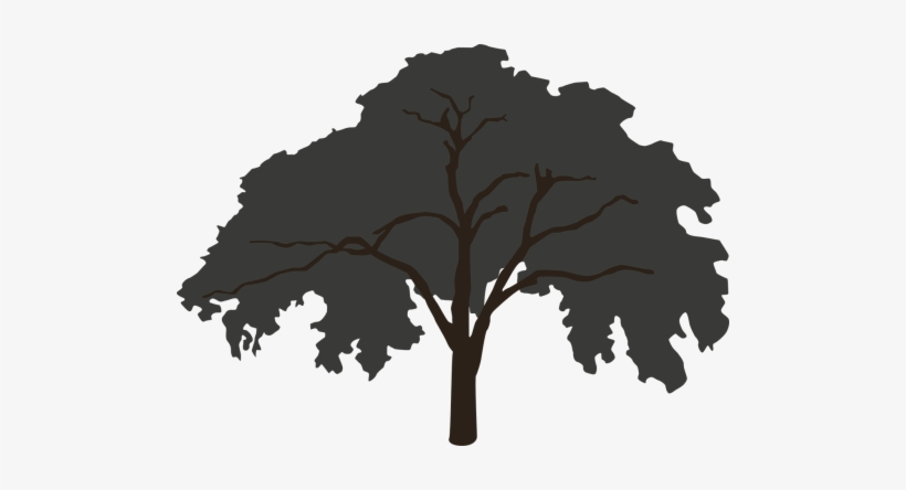 Tree,silhouette,big,tree Silhouette,clip Art,nature,dark, - Tree, transparent png download