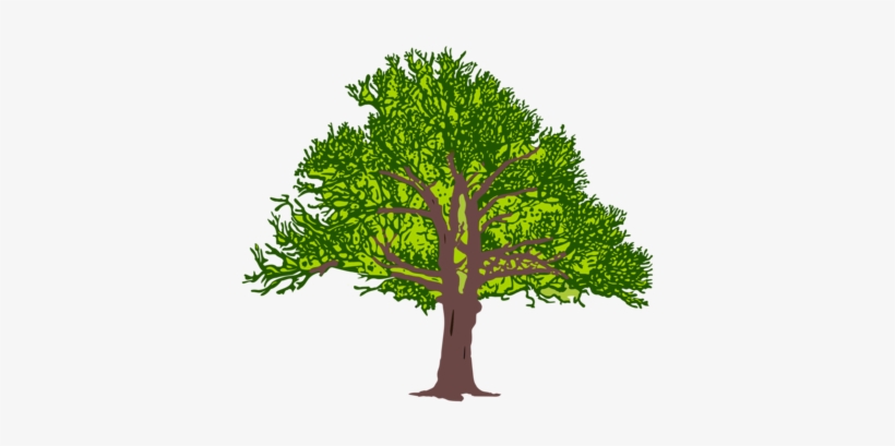 T-shirt Designer Color Flower Branch - Clip Art, transparent png download