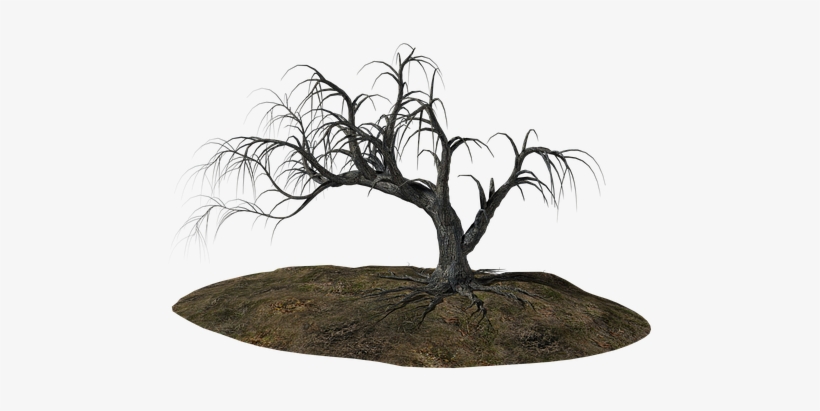 Tree Old Ill Old Tree Nature Wood Gnarled - Black Gnarled Trees Transparent Background, transparent png download
