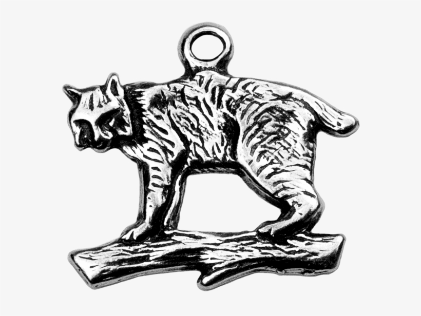 Bobcat - Illustration, transparent png download
