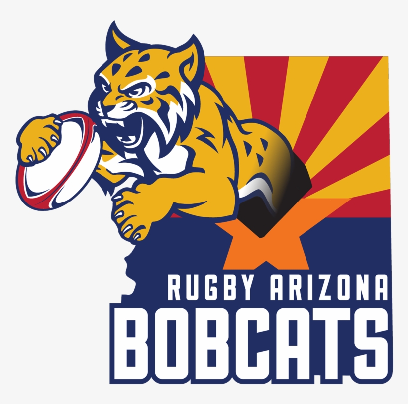 Bobcat 7's - Bobcat, transparent png download