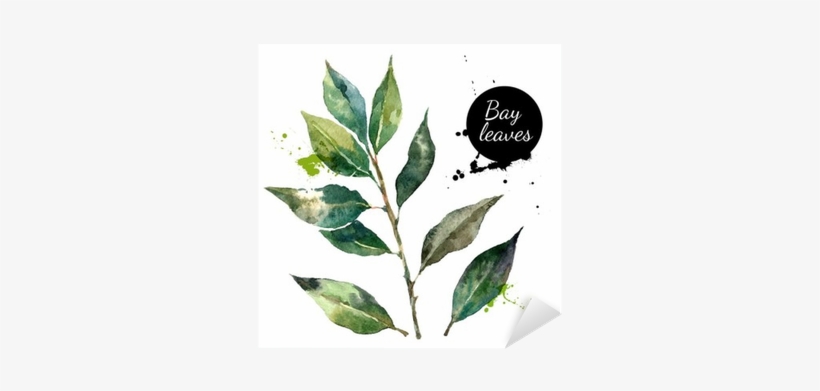 Kitchen Herbs And Spices Banner - Dried Blackberry Leaf #3 Wild Leaf By Wild Foods Dried, transparent png download