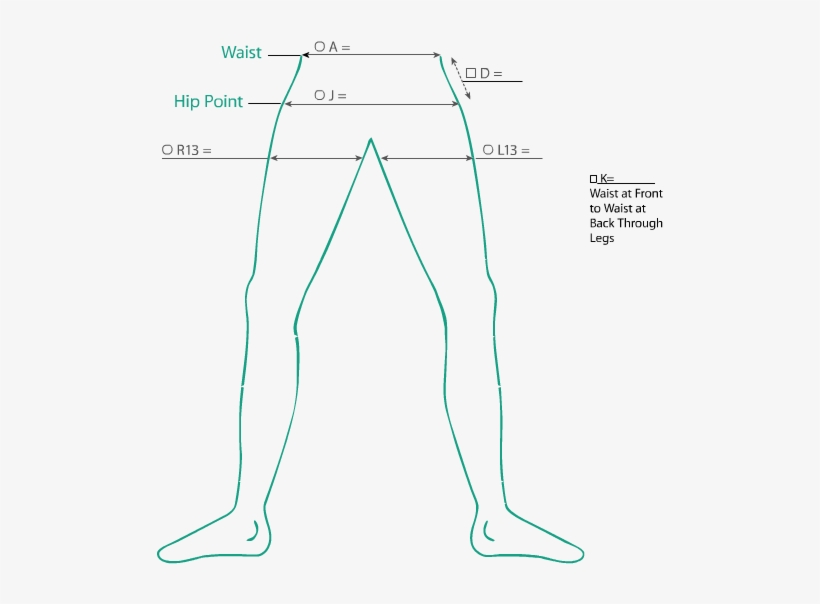 Ct Panty Brief - Diagram, transparent png download