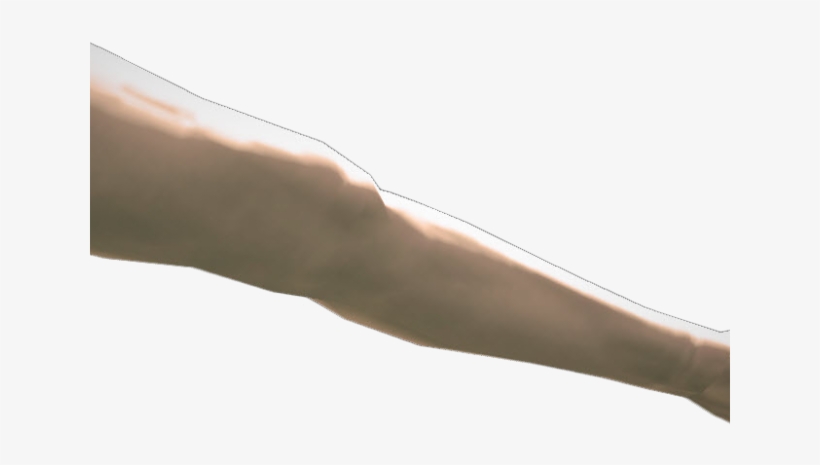 Legs Png Transparent Images - Hand, transparent png download