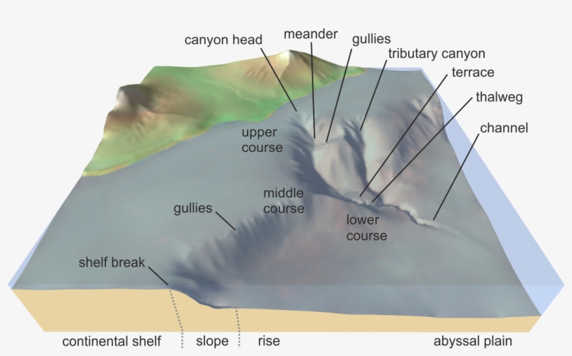 Submarine Canyon - Submarine Canyons And Gullies, transparent png download