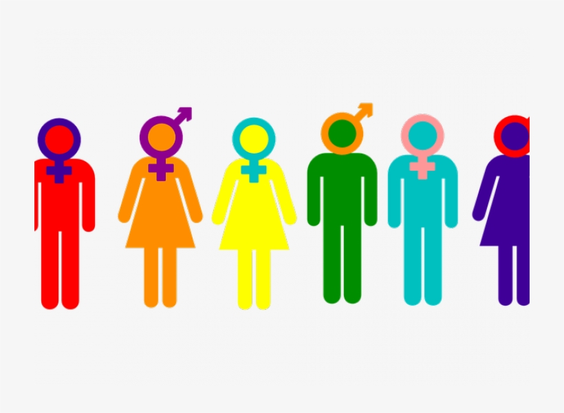 Gender Week Vub - Homosexuality No More A Crime, transparent png download
