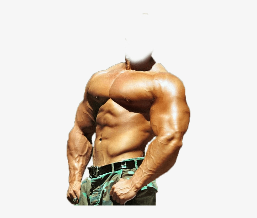 Bodybuilder - Transparent Png Images Men Download, transparent png download