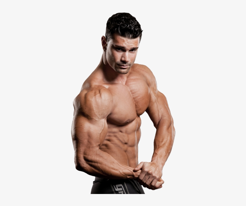 Bodybuilding Png - Wwe Eddie Guerrero Png, transparent png download