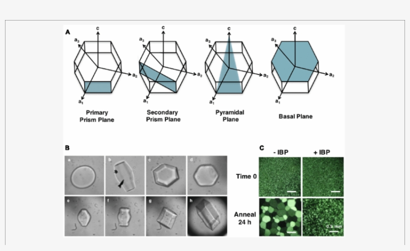 Ice Crystal Planes Adsorbed By Ibps - Institute Of Banking Personnel Selection, transparent png download