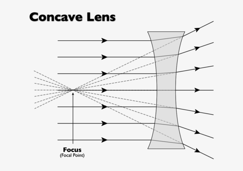 The Photons Of Light Then Travels In All Directions - Light Passing Through Concave Lens, transparent png download