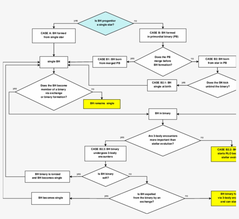 Flow Chart Summarizing The Bh Evolution, In Light Of - Point, transparent png download