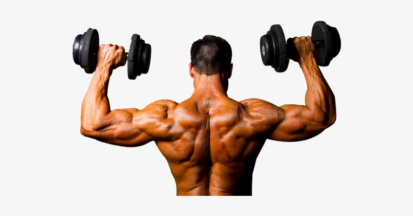 I Guess That A Lot Of You Think That The Bodybuilder - Crossfit/weightlifting Gloves With Wrist Wraps &, transparent png download