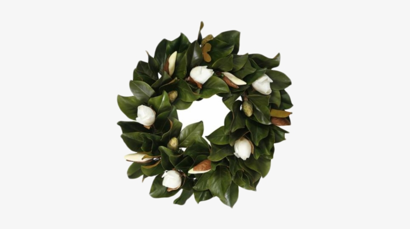 Magnolia-wreath - Jane Seymour Botanicals Magnolia Bud Wreath; White, transparent png download