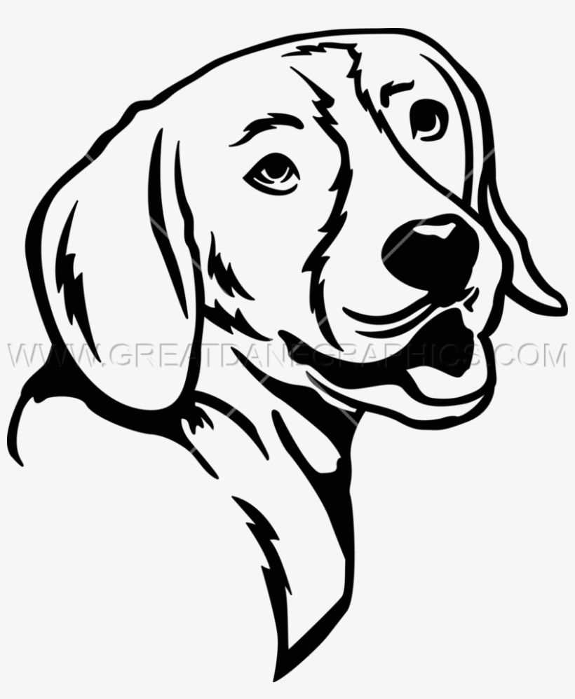 Beagle Clipart Black And White - Beagle Line Art Transparent PNG