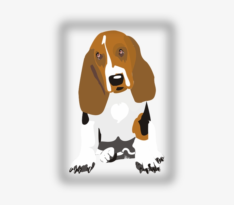 Eyes, Dog, Beagle, Sitting, Pet, Long, Ears, Droopy - Posterazzi Dog In Color 1 Poster Print, transparent png download