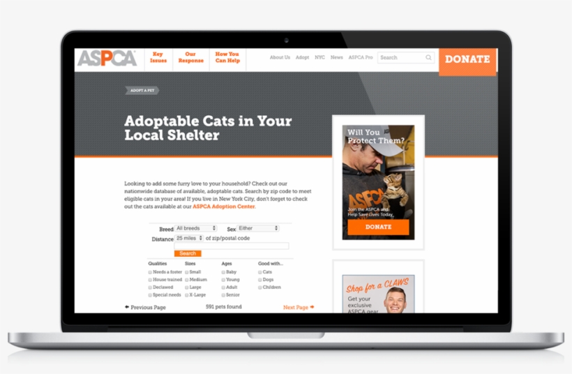 Apsca-laptop, transparent png download