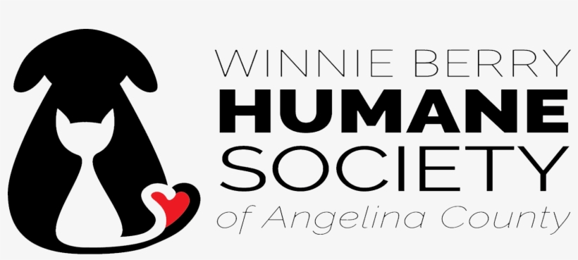 Graphic Design, transparent png download