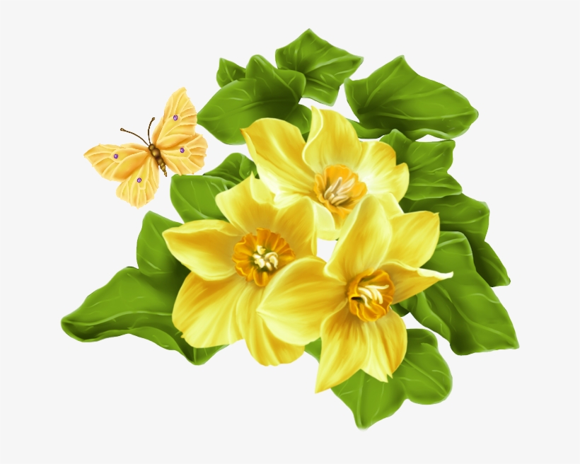 Фото, Автор Иришка-манюшка На Яндекс - Lily, transparent png download