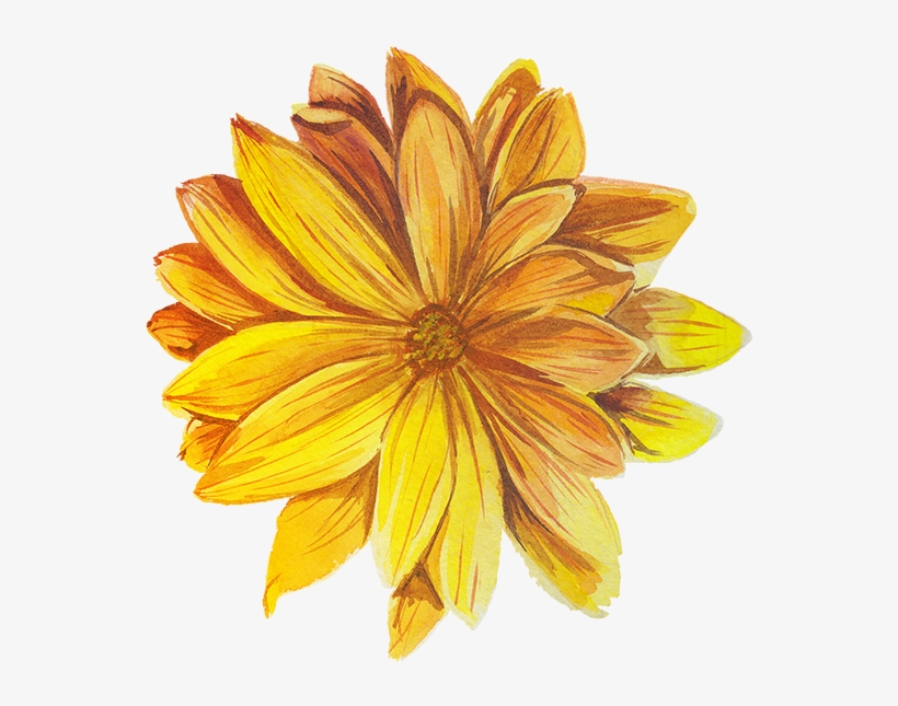 Daisy Tattoo Designs - Цветы Клипарт Пнг, transparent png download
