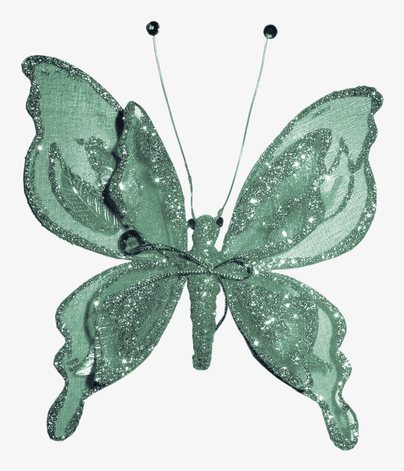 Яндекс - Фотки, transparent png download