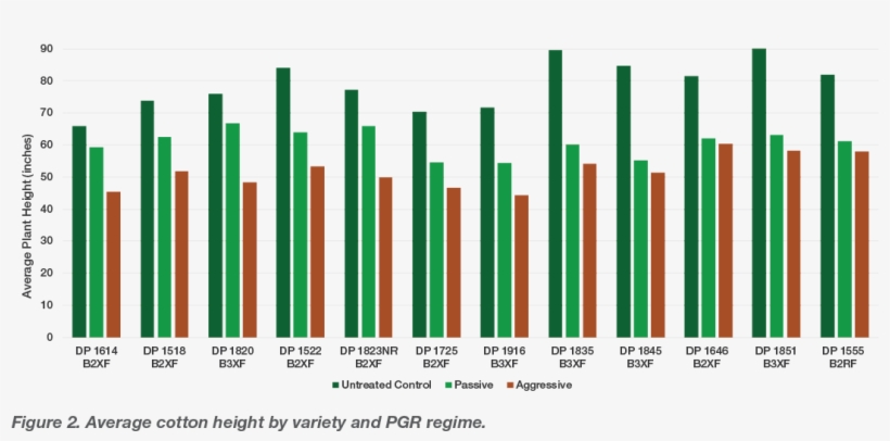 The Tallest Cotton Variety In 2018 Was 90 Inches Tall - Colorfulness, transparent png download