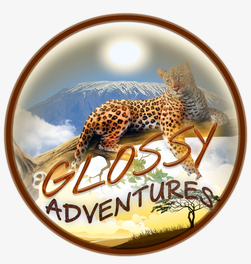 Cropped Glossy Adventures Logo 1 - African Leopard, transparent png download